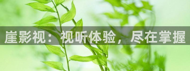 麻豆.www：崖影视：视听体验，尽在掌握