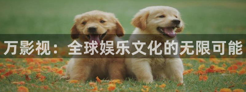 午夜影院麻豆：万影视：全球娱乐文化的无限可能