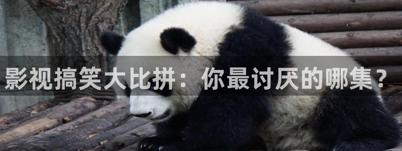 麻豆影视视频：影视搞笑大比拼：你最讨厌的哪集？