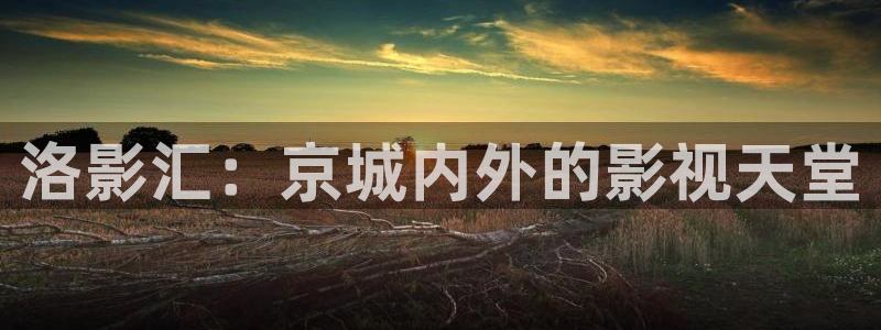 麻豆资源在线不卡观看：洛影汇：京城内外的影视天堂